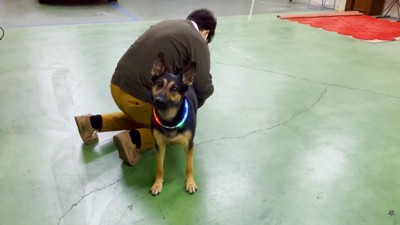 とってもお利口さんです♪