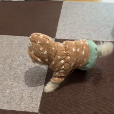 初めての服に挑戦！！
