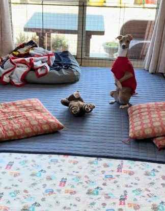 普通に座るかと思ったら…？