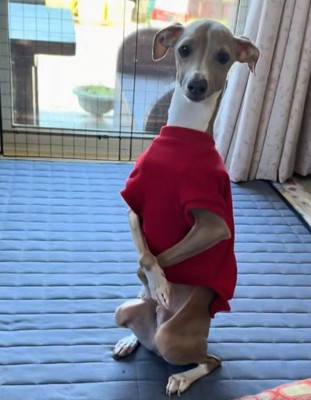 「お呼びでしょうか？」