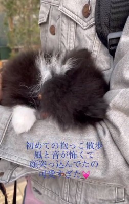 また顔をうずめるレイくん
