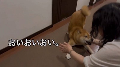 大はしゃぎ♪