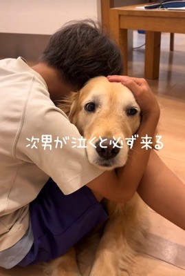 子どもたちが泣いていると…