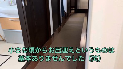 帰宅してもお出迎えナシ