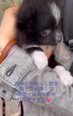 放心状態のレイくん