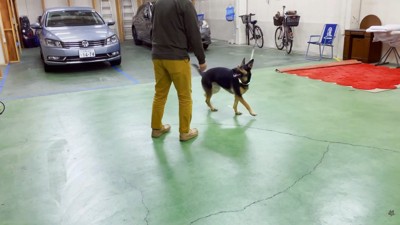 華麗に避けます！