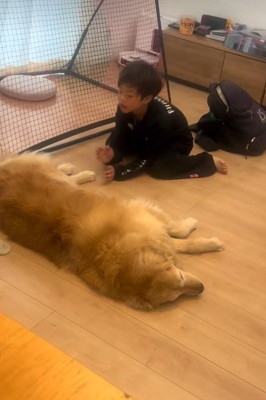 遊びに付き合ってくれることも