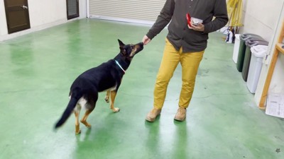 オヤツで仲直りする作戦