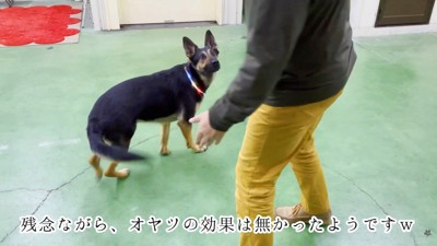まだ許してくれないようです（笑）