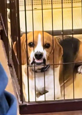 真剣な眼差しに爆笑♪