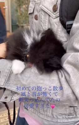腕の中に隠れるレイくん