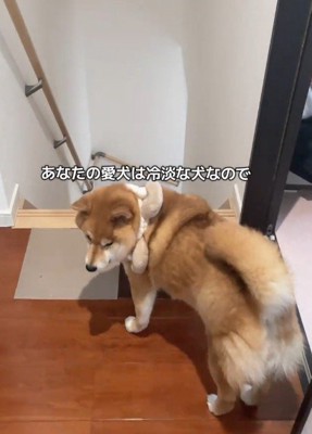 あっさりリビングへ