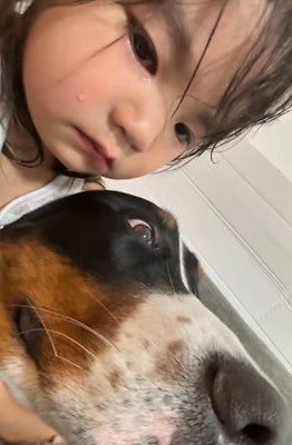 泣いている子供と大型犬