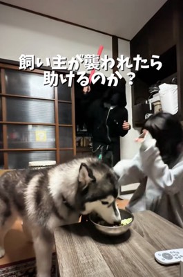 悪者が侵入