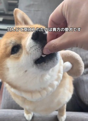 嬉しそうななみちゃん