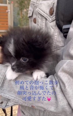 あたりを見渡すレイくん