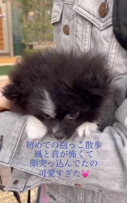 少し顔を出すレイくん