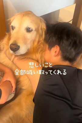 悲しみを吸い取ってくれる
