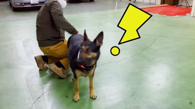 おしりをポンポンしたら…