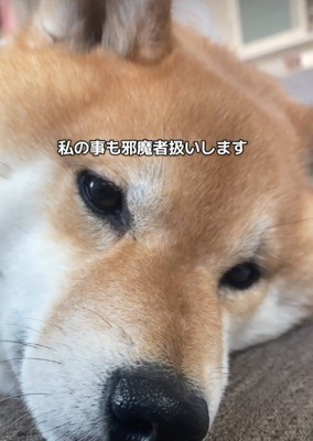 満足してひとり時間へ…