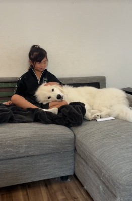子供に甘える大型犬
