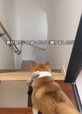 見えなくなると…