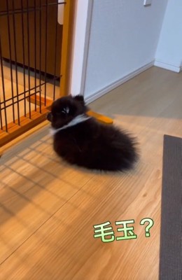 顔を上げるレイくん