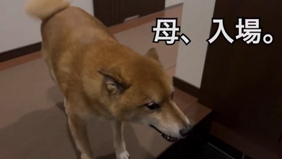 熱烈大歓迎！