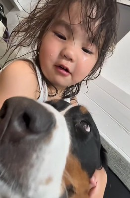 泣き止んだ子供と大型犬