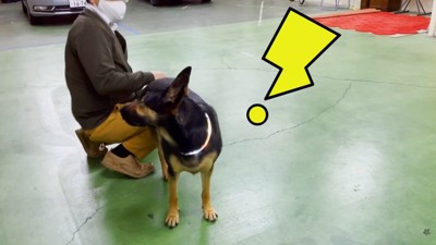 「えっ、今おしり叩いた…！？」