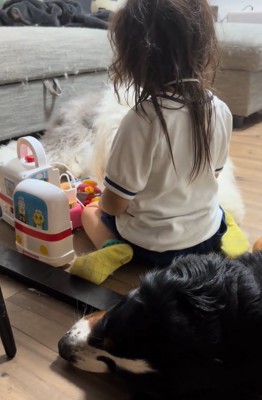ままごとする子供と大型犬