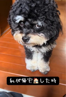 「お土産は？」とチラ見