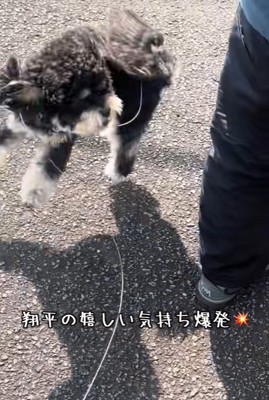 大はしゃぎする姿が可愛い！