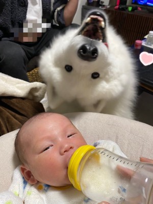 1年半