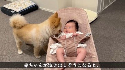 「どうしたの？大丈夫？」