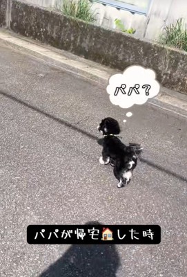 パパさんの車を発見
