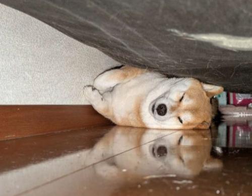 ぎゅっと