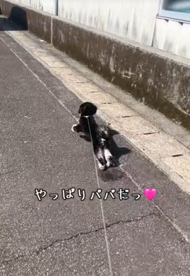大喜びでダッシュ！
