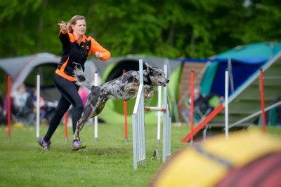 アジリティをする女性と犬