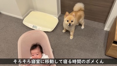 「僕、そろそろ寝ます！」