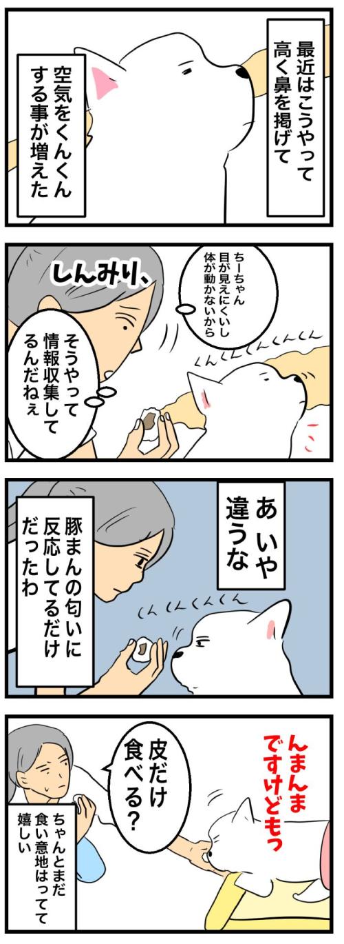 ちーちゃんですけどもっ【第365<br /> 話】　2