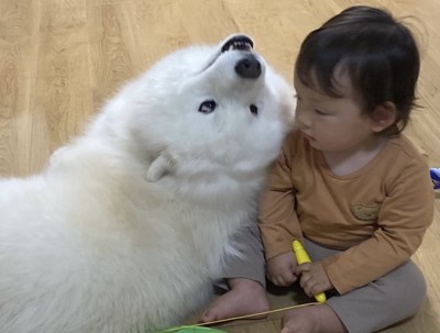 癖