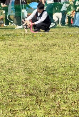 横を向く犬1