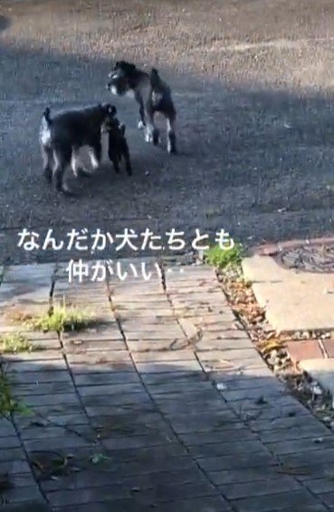 初対面とは思えない