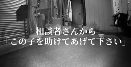 監視カメラに映った犬の姿