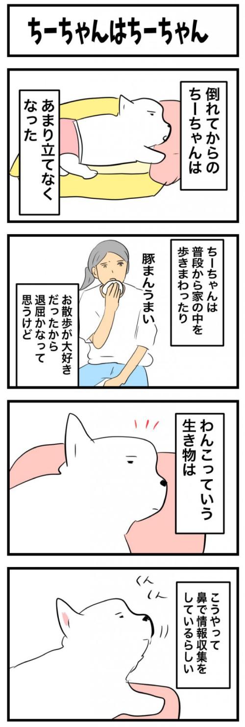 ちーちゃんですけどもっ【第365<br /> 話】　1