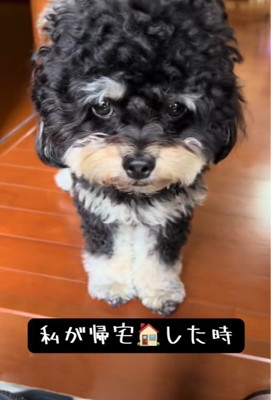 ママさんをお出迎え