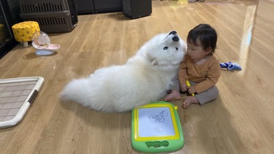 見守り