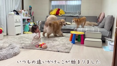 ワンプロが勃発！！