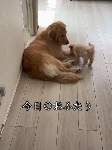 現在のふたり